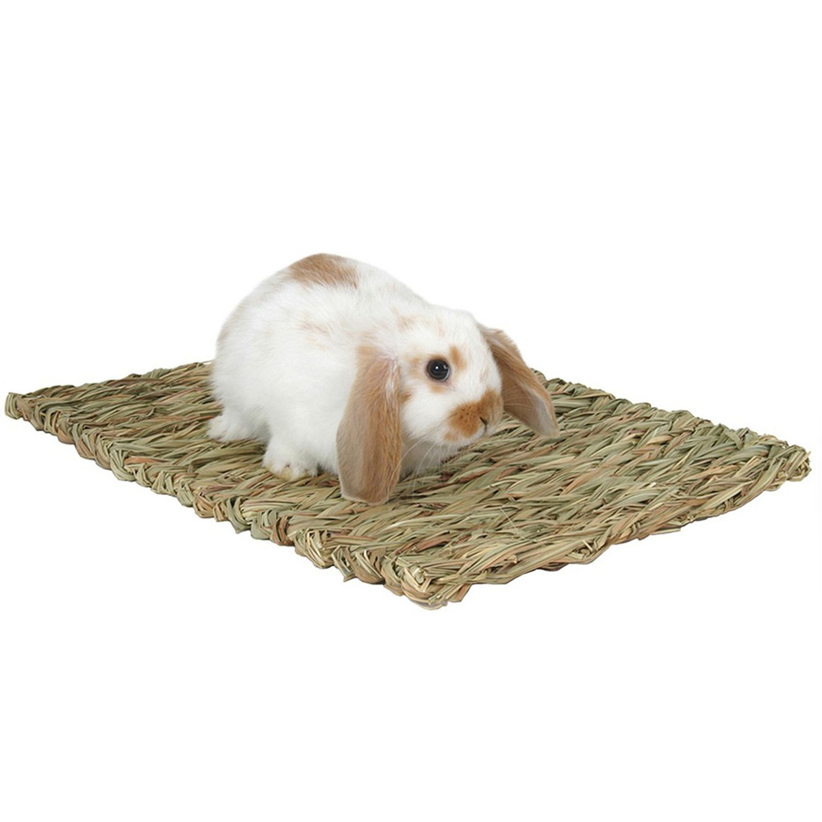 Creative Pet Rabbit Grass Mat Guinea Pig Woven Straw Cage Pad Bedding Chew Toy 