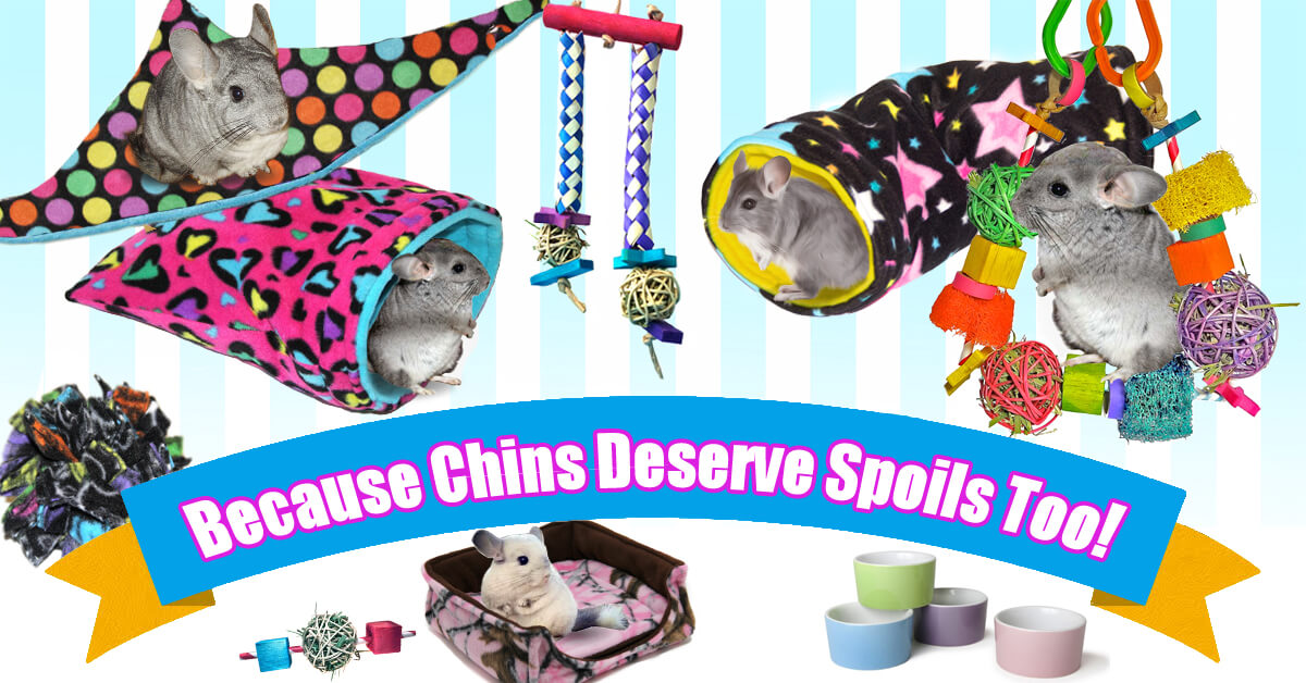 Cage Bedding, Toys and Accessories for Chinchillas