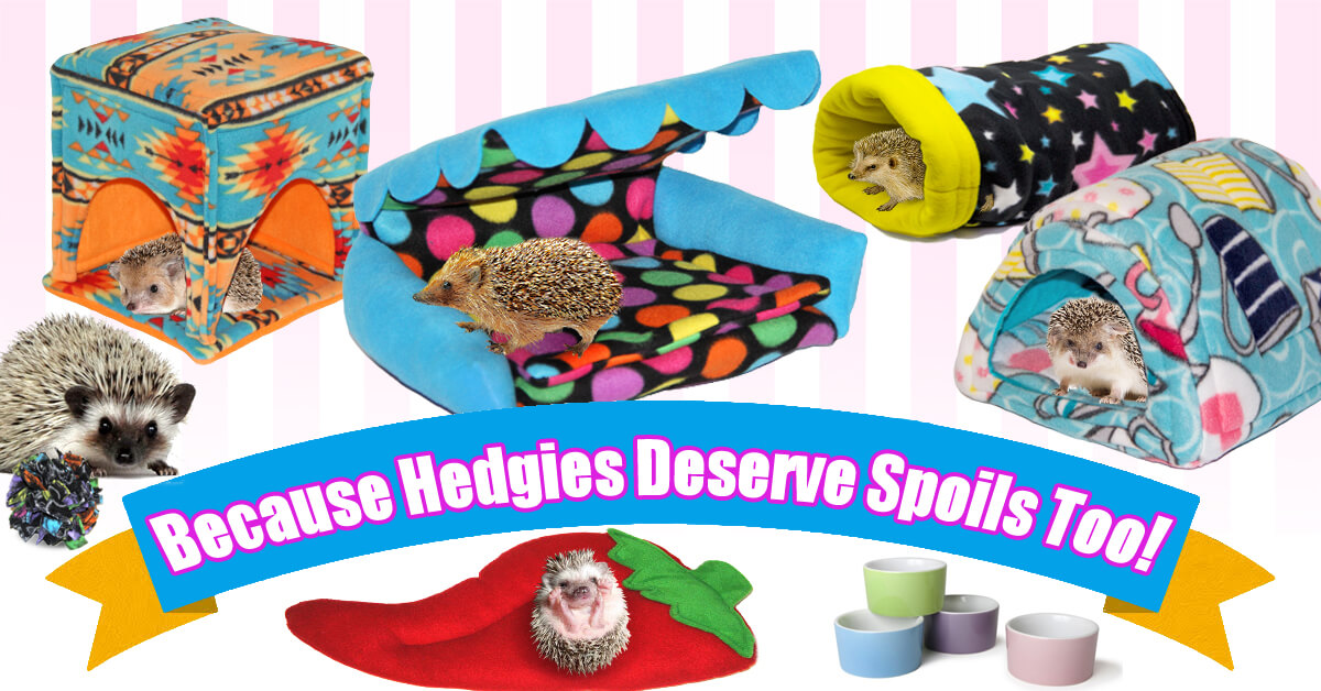 Cage Bedding and Accessories for Hedgehogs