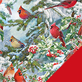 Cardinals Fleece Fabric