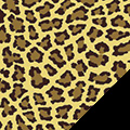Leopard Spots Fleece Fabric