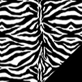 Zebra Fleece Fabric