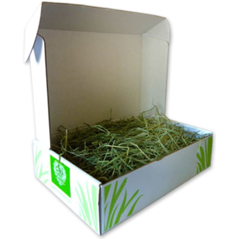 Small Pet Select 10# Box of Guinea Pig Timothy Hay