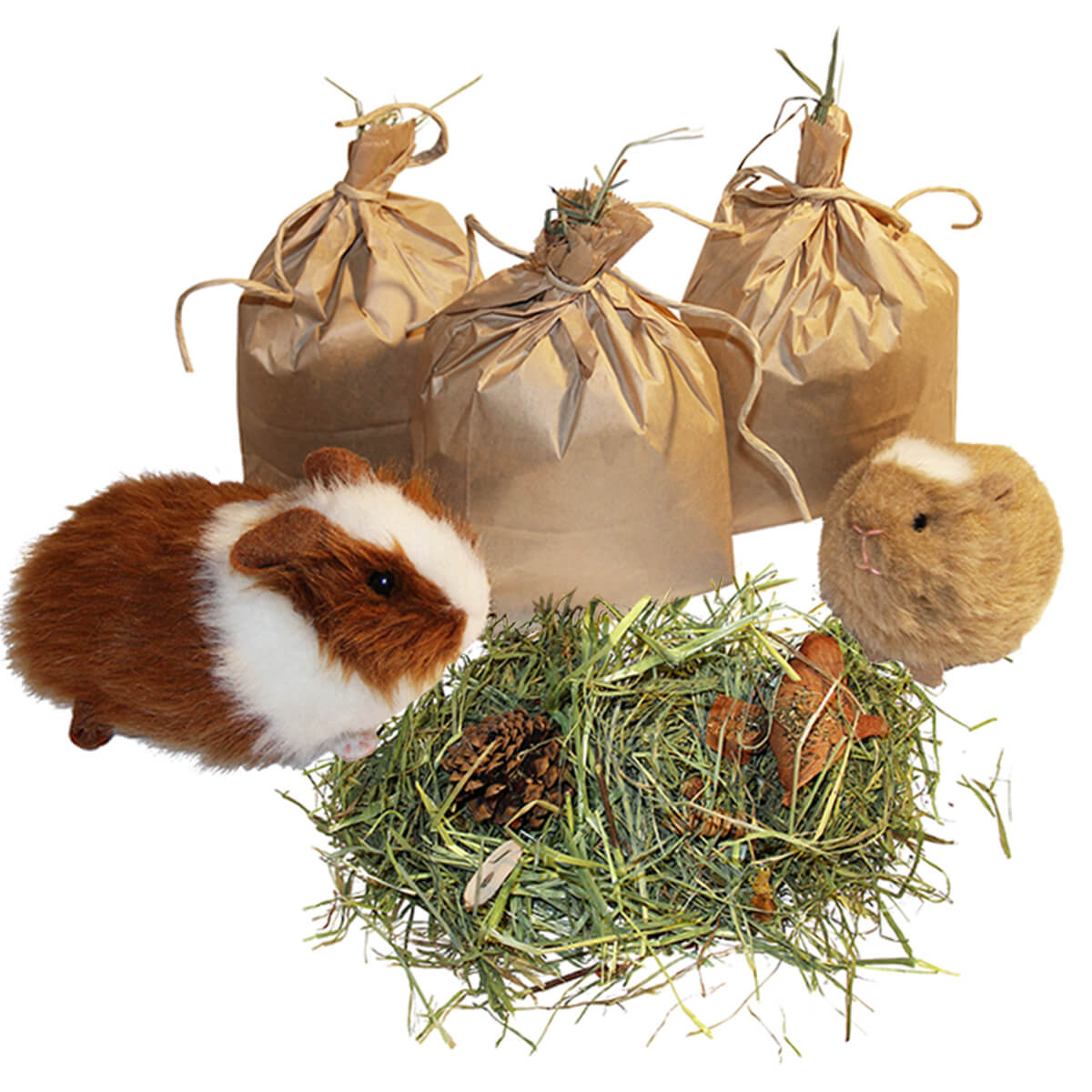 Tasty Hay and Herb Treat Bags for Small Animals