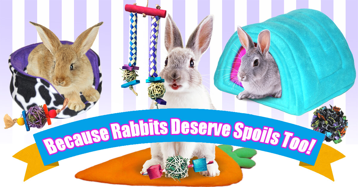 Cage Bedding, Toys and Accessories for Rabbits