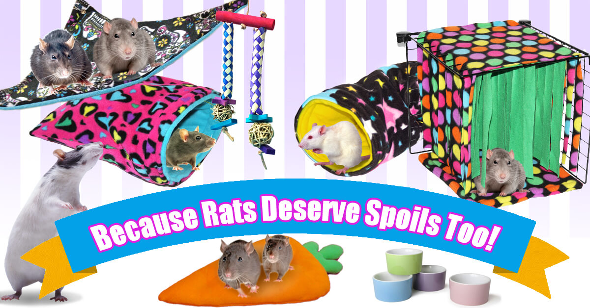 Cage Accessories and Toys for Rats