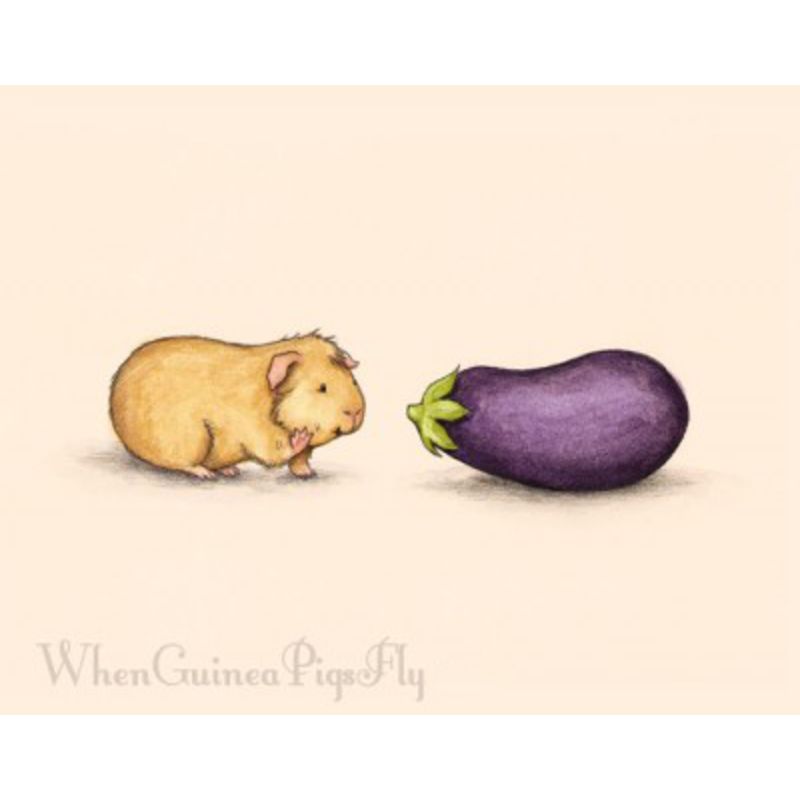 Piggy with Eggplant Print