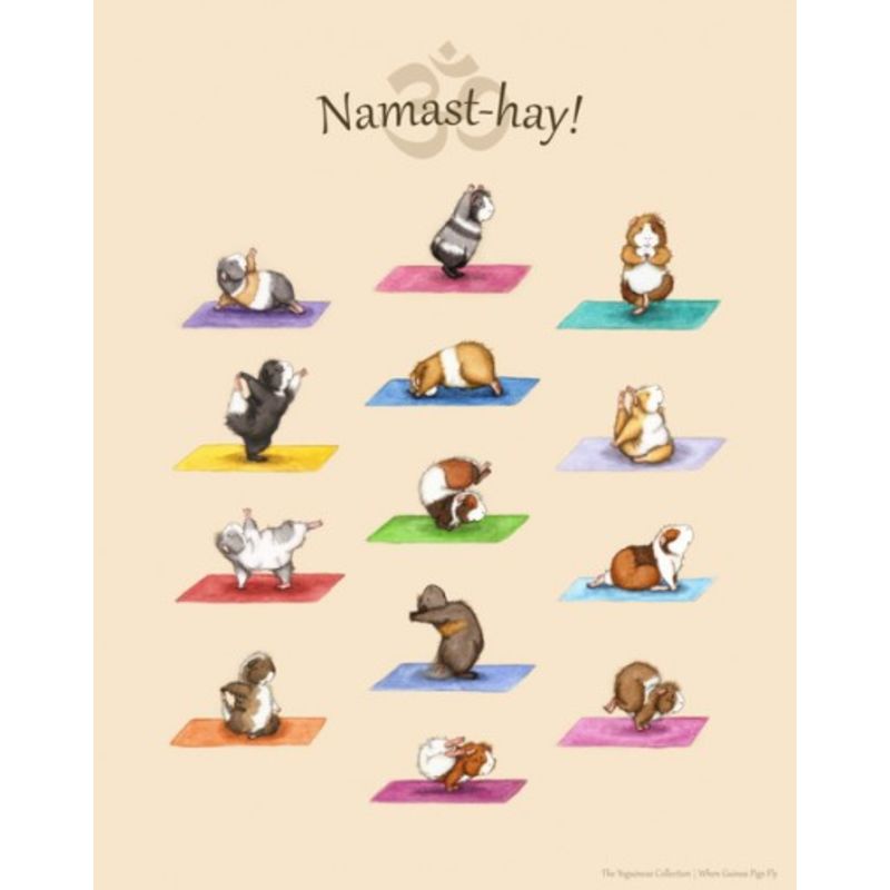 Namast-HAY Yoga guinea pigs