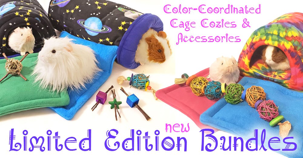 New Cozy and Accessories bundles at the Guinea Pig Market