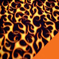 Flames Fleece Fabric