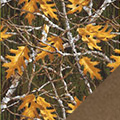 Forest Fleece Fabric