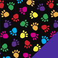 Rainbow Paws Swatch