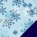 Snow Kissed Fleece Fabric