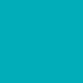 Turquoise Fleece Fabric