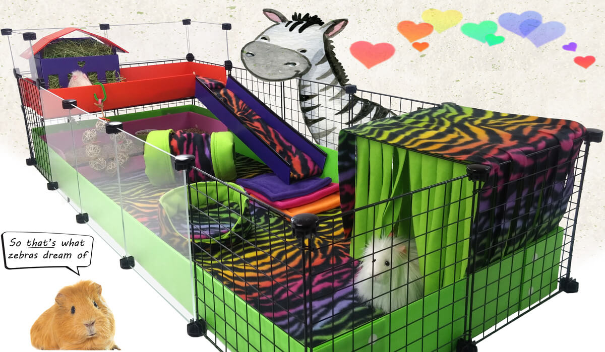 New Rainbow Zebra Fleece Combo!