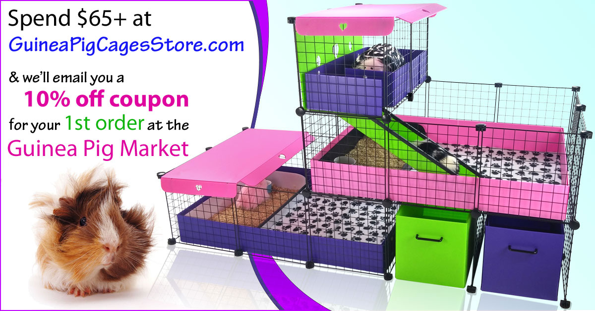 10% Off Guinea Pig Market with Qualifying Guinea Pig Cages Store Purchase
