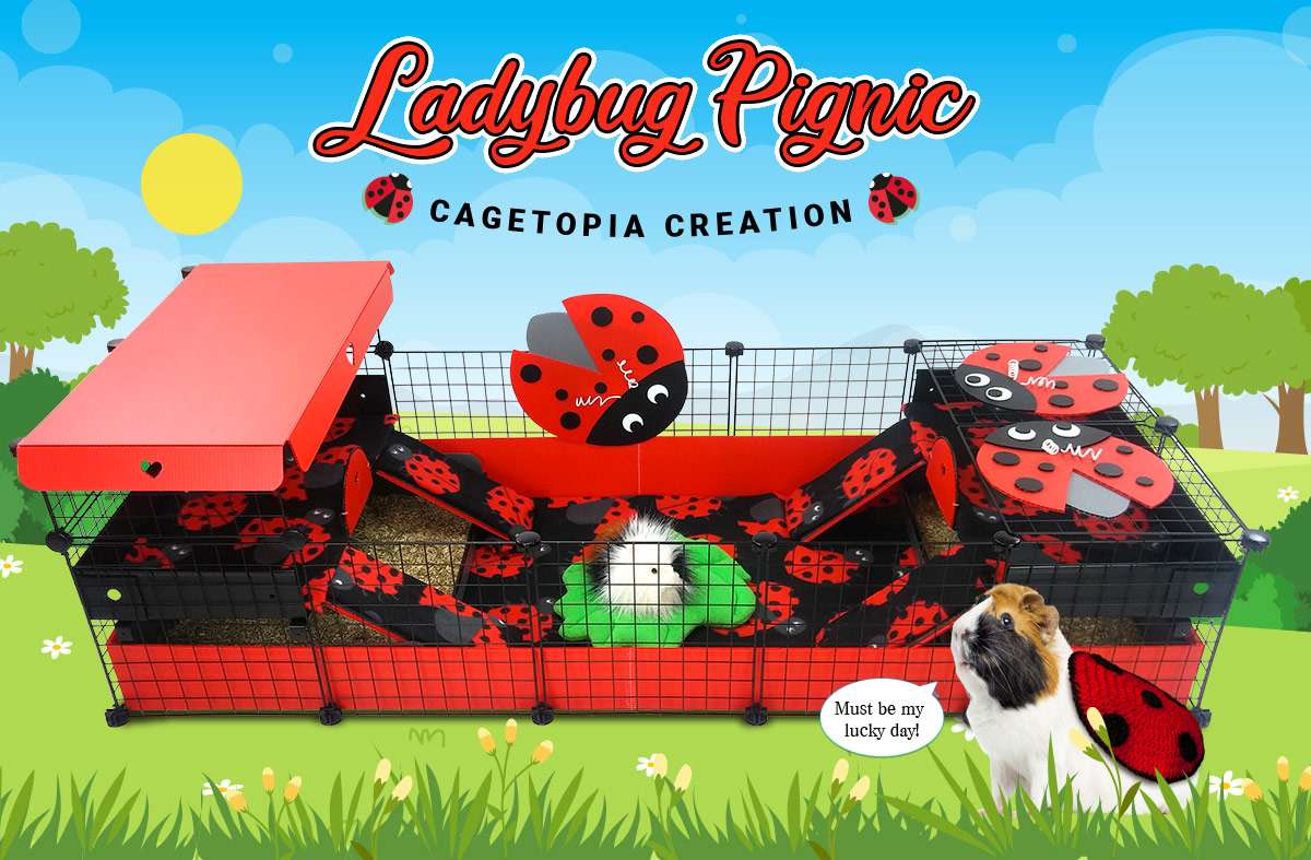 Ladybug Pignic Fleece Combo