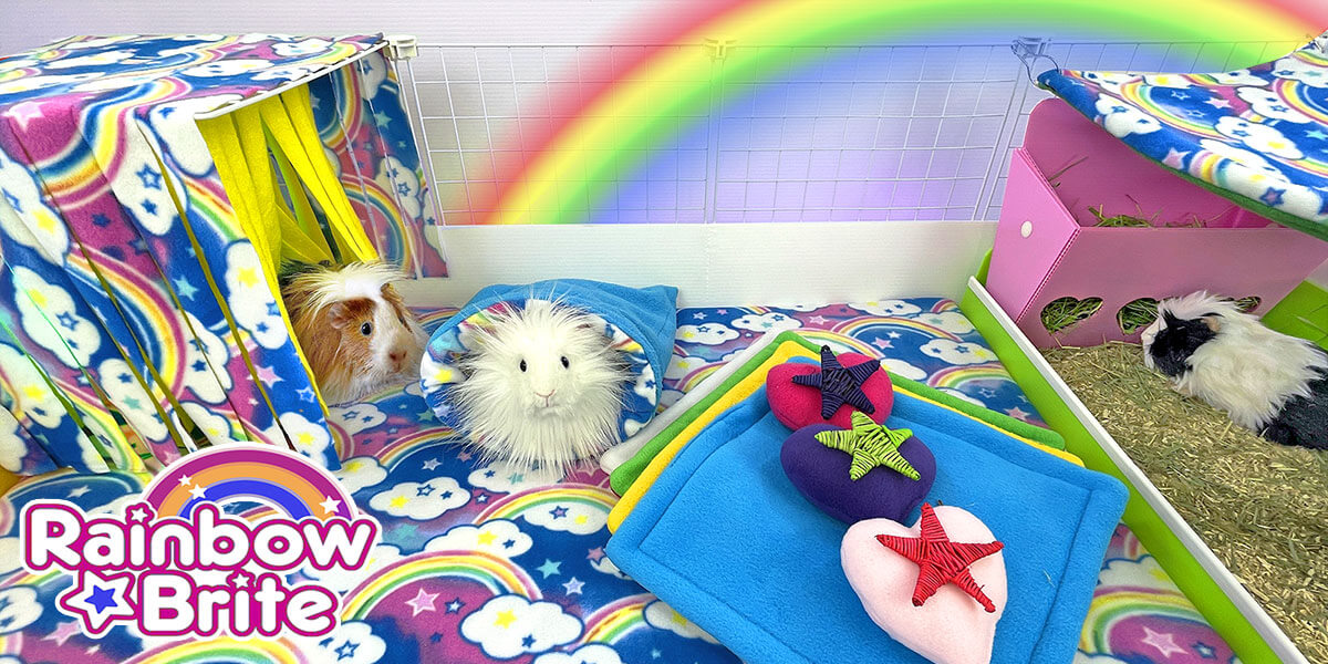 Guinea Pig Market Rainbow Bright fabric for bedding and cozies