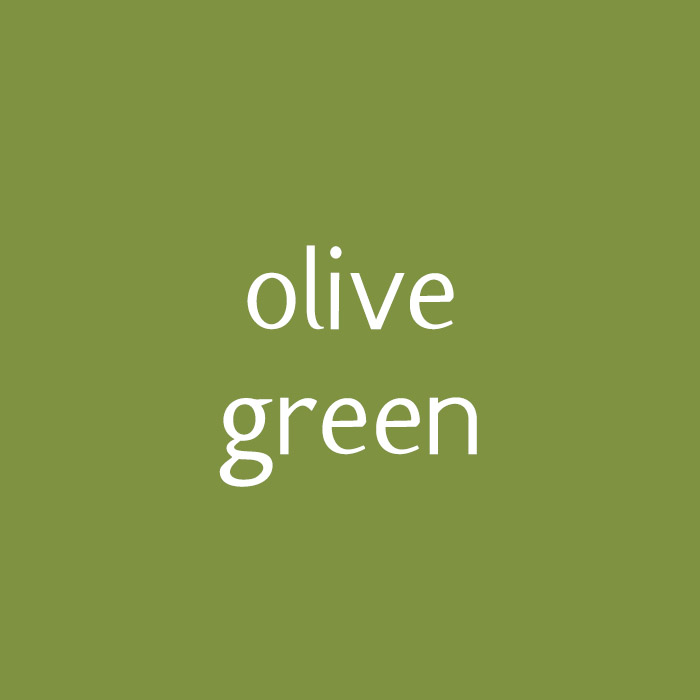 Olive Green Fleece Swatch