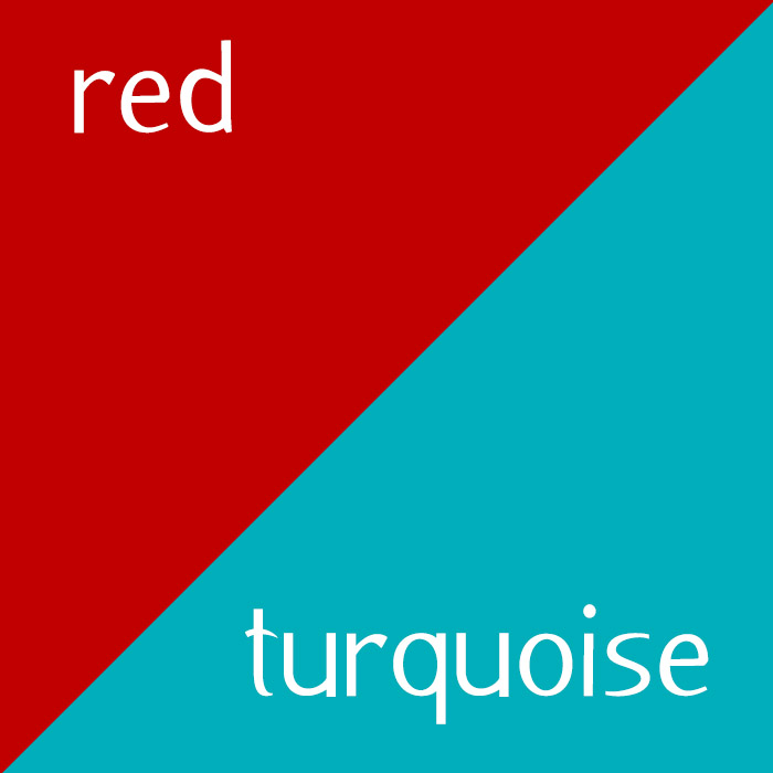 Red and Turquoise Fleece Fabric