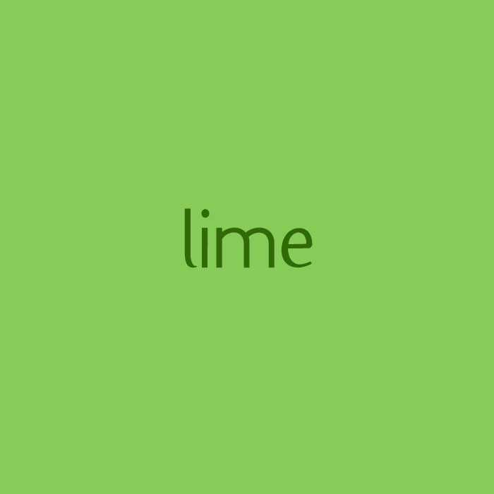 Solid Lime Fleece Fabric Swatch