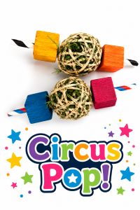 Circus Pop Toss Toy 