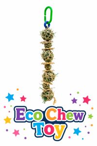 Eco Chew Toy 