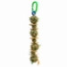 Eco Chew Toy - Toy-EcoChew