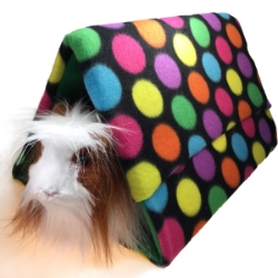 Flip Tent 