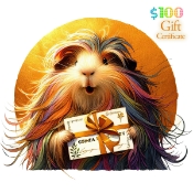 Gift Certificate art for a Guinea Pig Market $100 Value