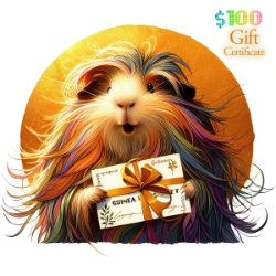Gift Certificate art for a Guinea Pig Market $100 Value