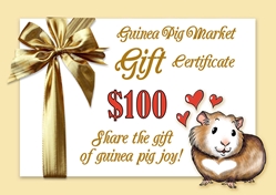 Gift certificate for $100