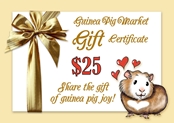 Gift certificate for $25