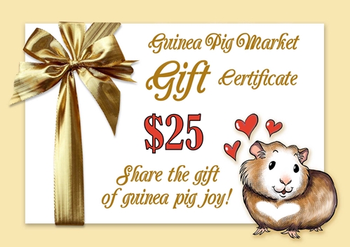 Gift certificate for $25