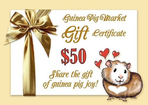 Gift certificate for $50