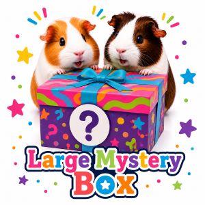 Large Mystery Box large