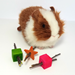 Munch the Galaxy toy set of 3 with a guinea pig