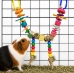 Rainbow Nibbler - Toy-RainbowNibbler