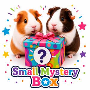 Small Mystery Box small