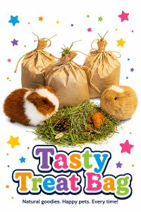 Tasty Treat Bag 