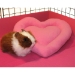 Pink heart with piggie