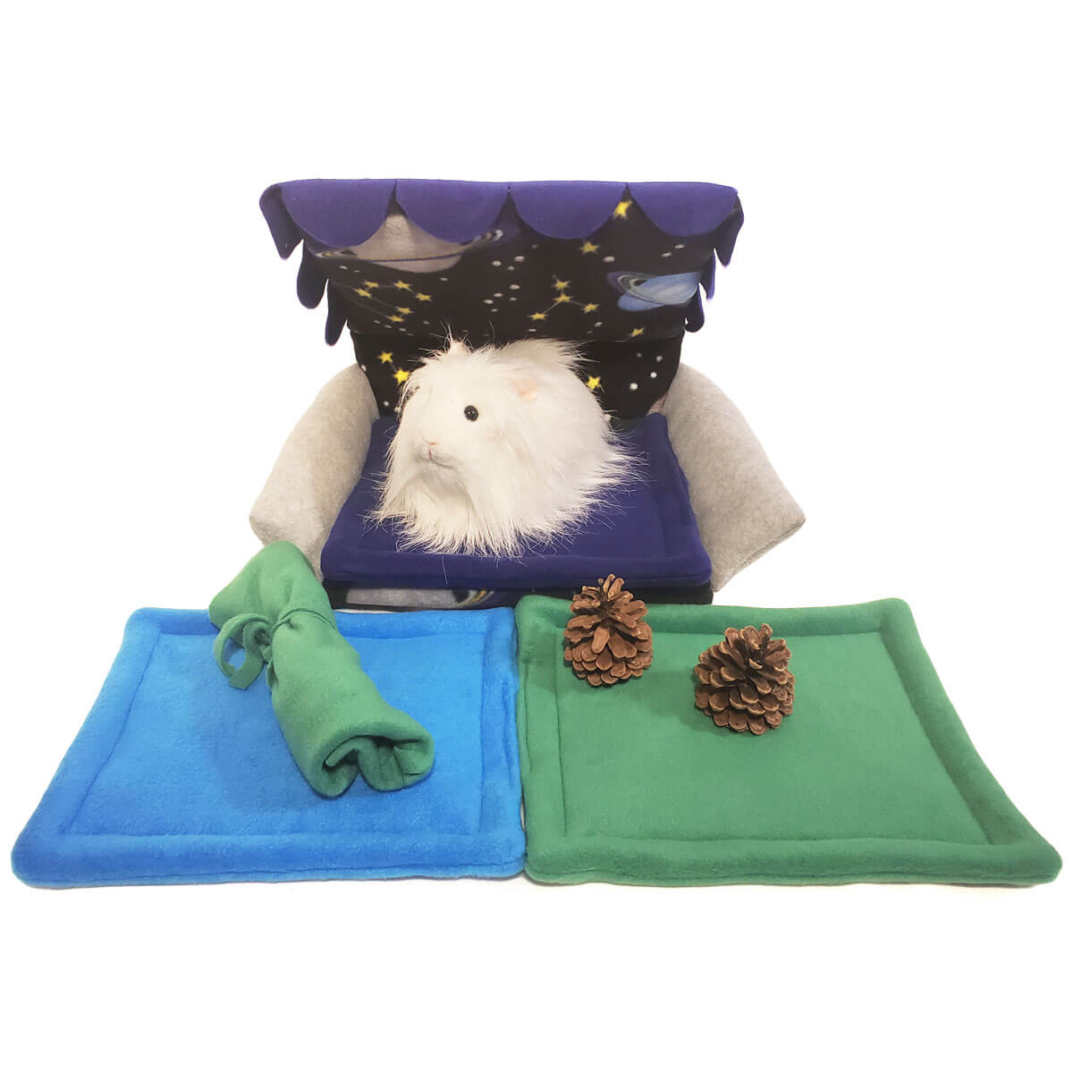 Stargazer Bed and Treat Bundle for Guinea Pigs