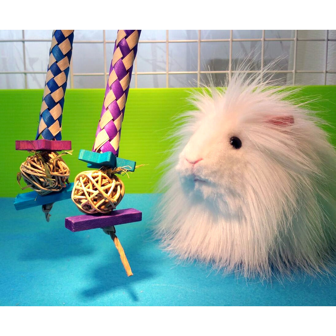 Chew Toys For Guinea Pigs Petsmart At Joseph Heil Blog chew-toys-for-guinea-pigs-petsmart-at-joseph-heil-blog