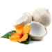 Coconut Oil (VCO) for Pets and People, including Guinea Pigs