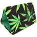 Flip Tent in Cannabis