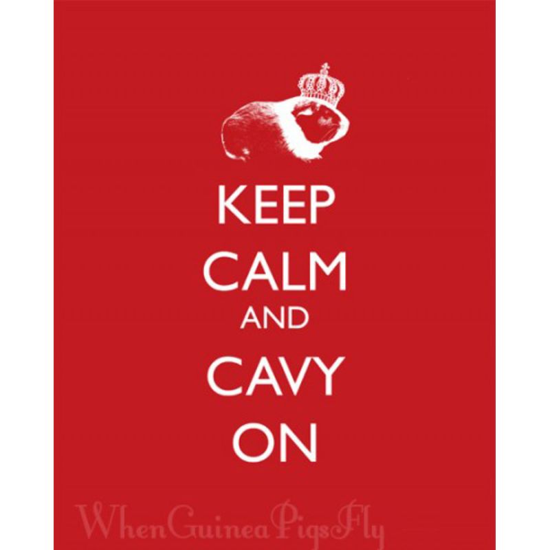 Keep Calm and Cavy On Print
