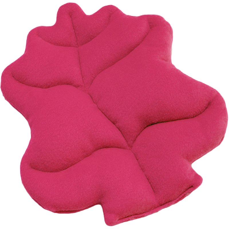 Fuschia