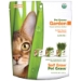 Pet Grass - wheat grass