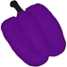 Purple Bell Pepper Bed