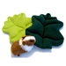 Lettuce Loungers with Guinea Pigs